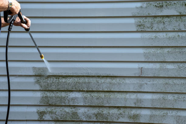 Best Same-Day Junk Removal Services  in Summit, MS